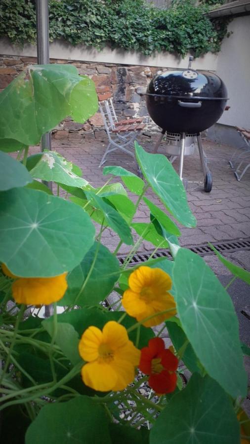 Hotel Zur Sonne Falkenstein  ภายนอก รูปภาพ